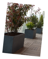aménagement paysagé, jardinières sur terrasse en bois
