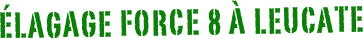 élagage force 8 à leucate